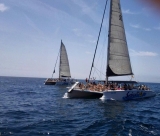 Team building en catamarán desde St. Feliue