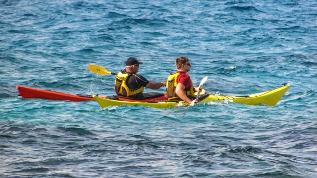  Kayak 