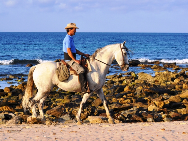 Paco el guía