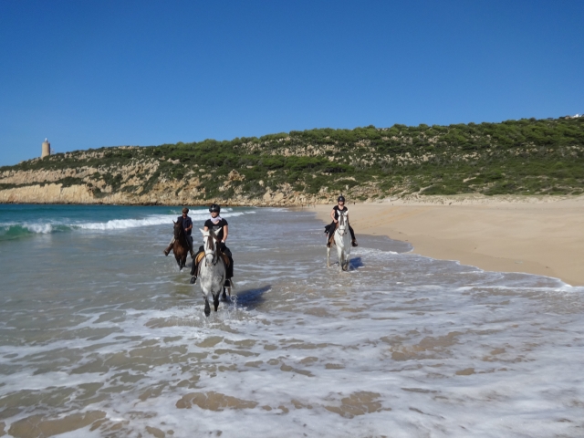 Paseo por la costa de Tarifa