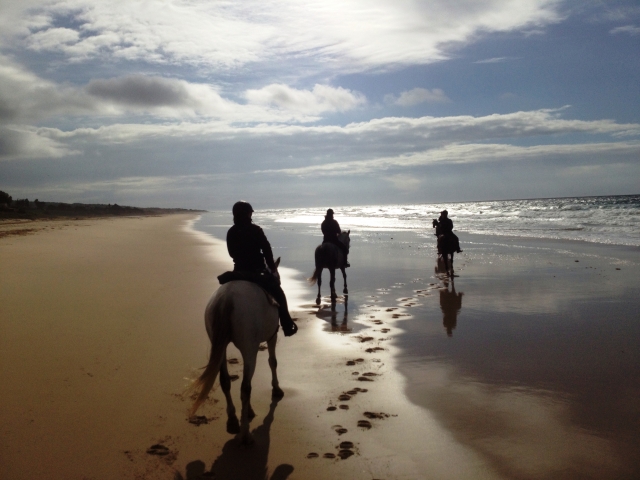 Ruta a la orilla de la playa