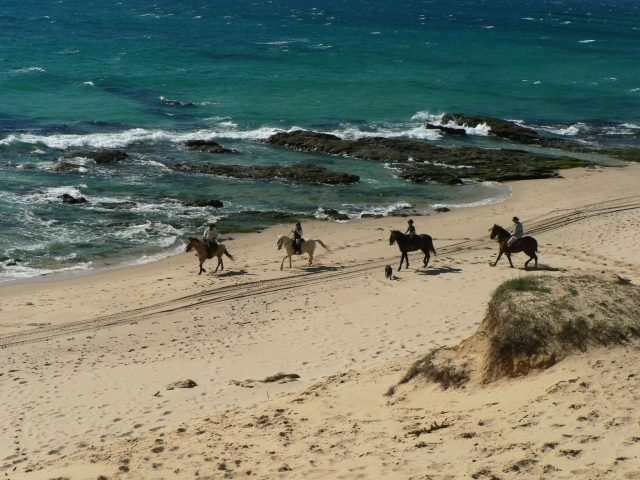 Ruta a caballo en Cádiz