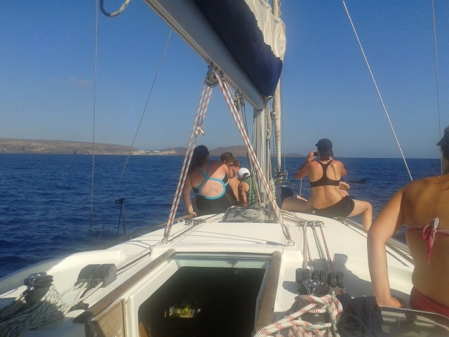 DISFRUTAR