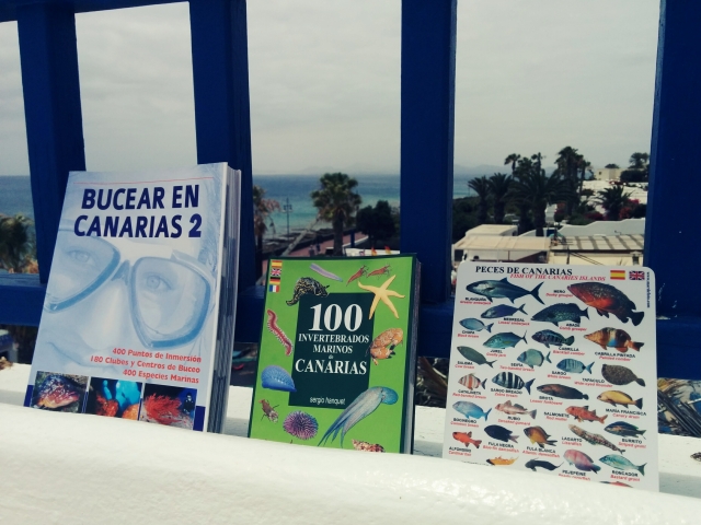  Materiale didattico 