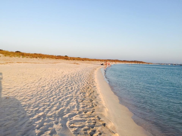  Visit the beaches of Formentera by boat 
