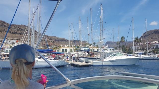  Blick auf den Hafen 