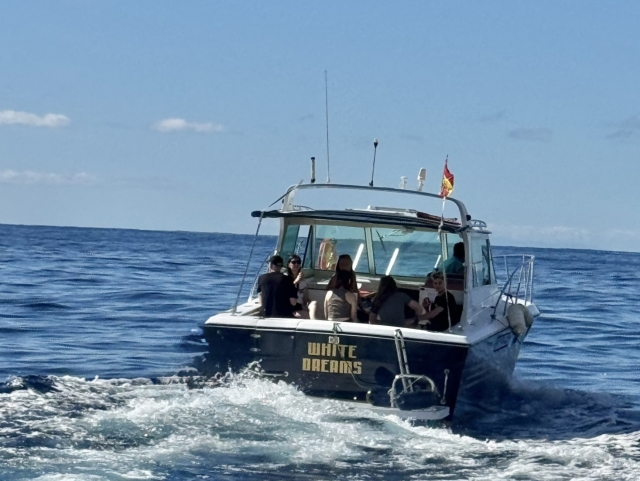  Observação de baleias num iate