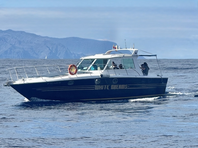  Iate na costa de Tenerife 