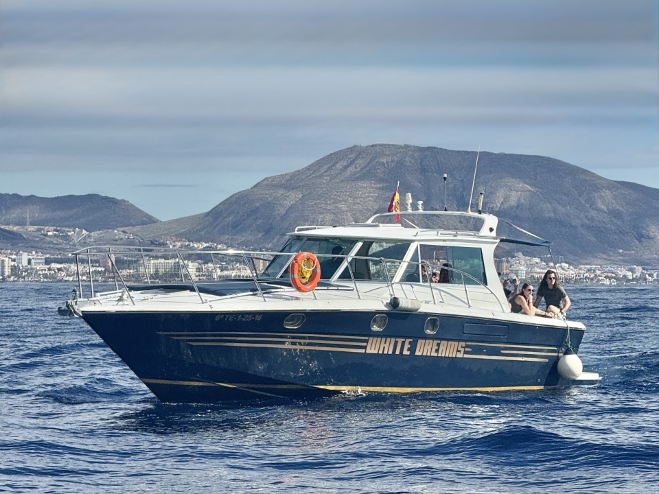  Barco para observação de baleias 