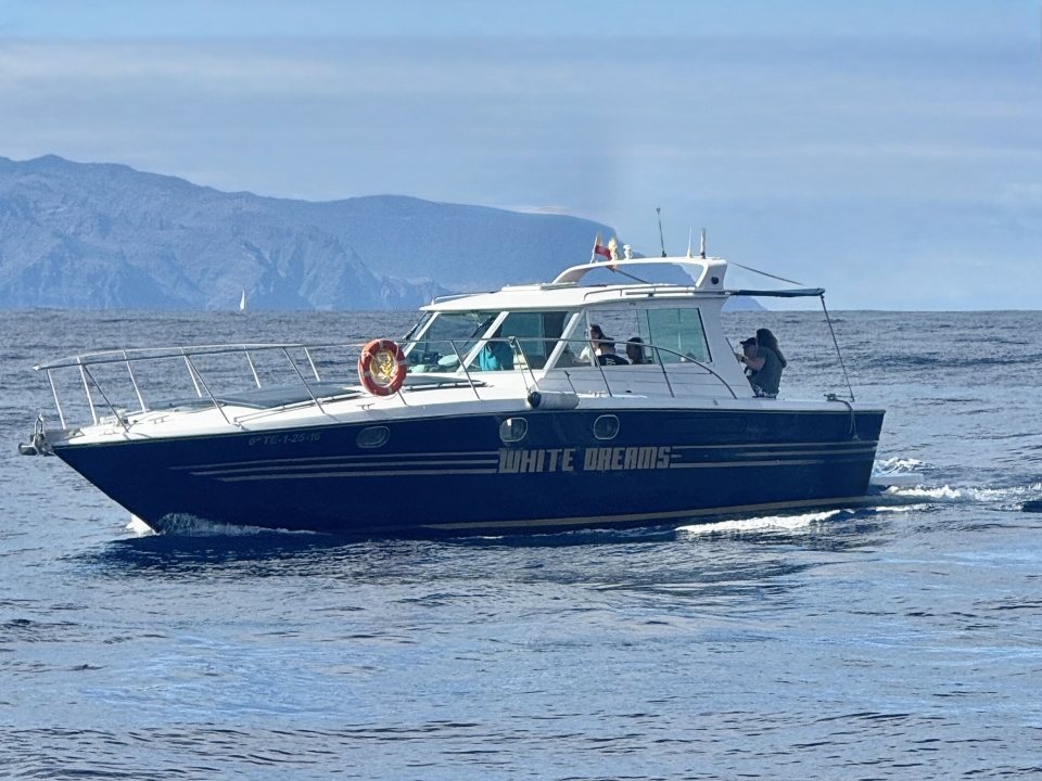  Iate na costa de Tenerife 