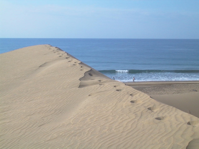  Gran Canaria dunes