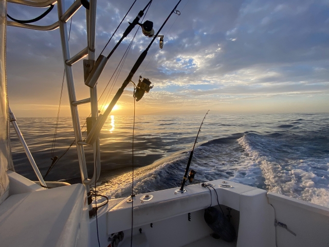  Pesca no pôr do sol