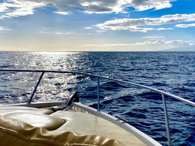 Antecedentes Pesca em Tenerife 