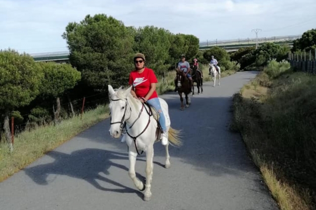 Disfrutando del paseo