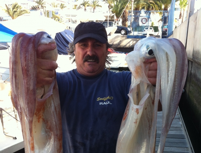  Der Tintenfisch in der Hand 