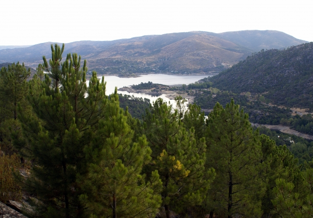 Valle de iruelas