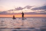 Aquiler Paddle Surf en la playa de Barceloneta