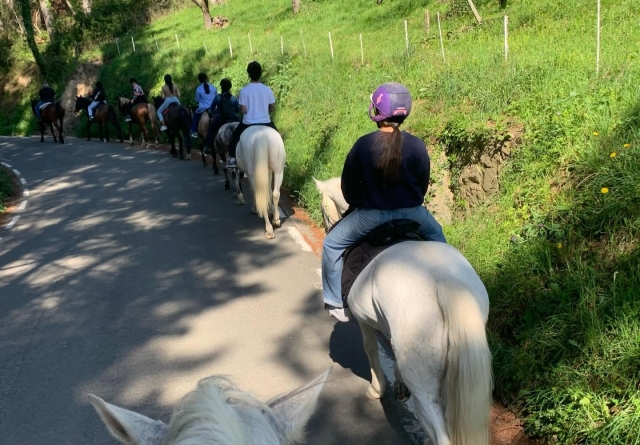 Paseo a caballo por Guipuzcoa