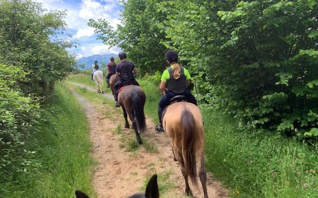 Trotando por los montes de Guipuzcoa