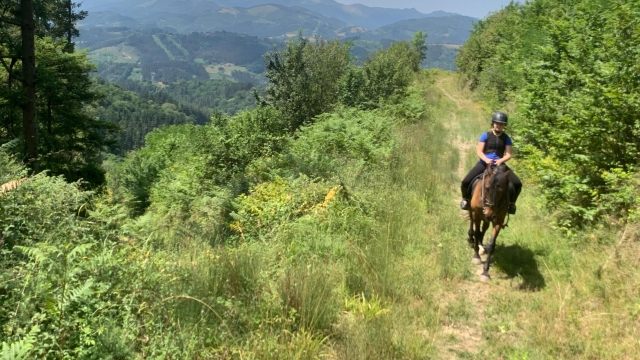  Discovering the green fields on horseback 