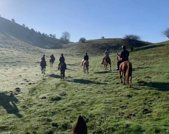 Ruta a caballo con amigos