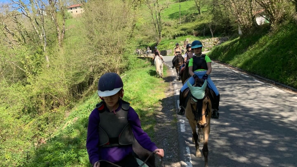  Auf dem Pferderücken die Straße hinunter 