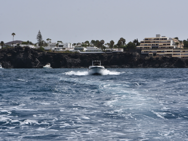 Ruta en barco desde Las Galletas