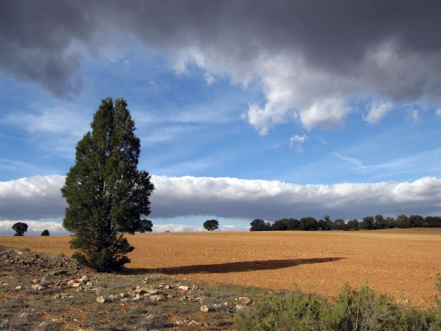 Ruta del quijote