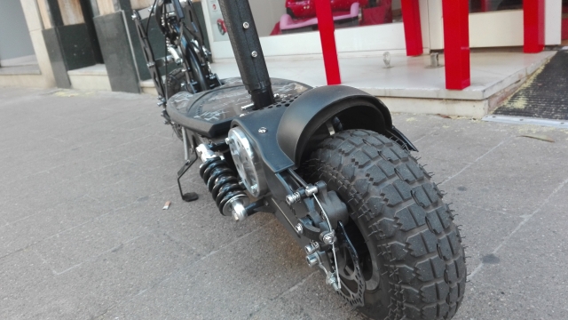  Electric scooter rental 