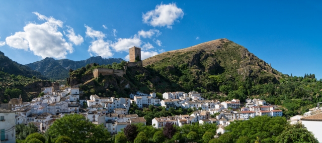  Cazorla 