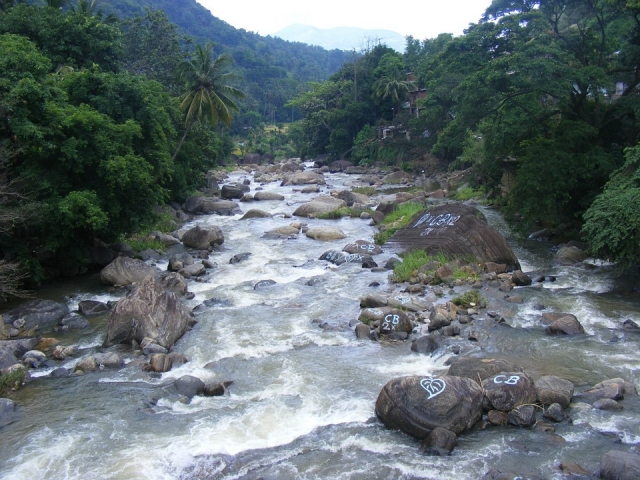  Rios 