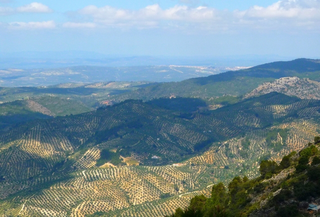  Serras Cazorla 