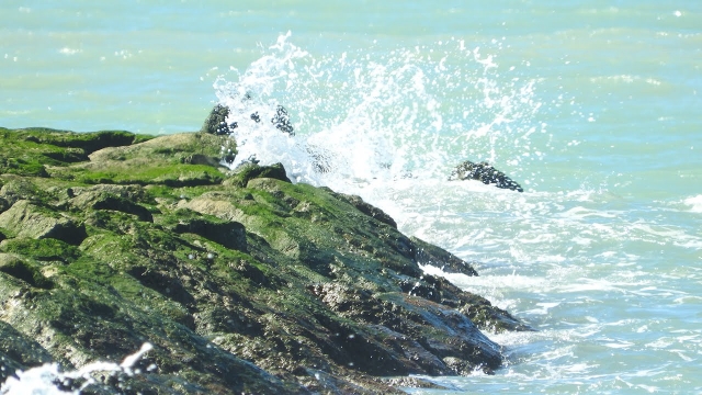  Felsen und Gezeiten in Cádiz 