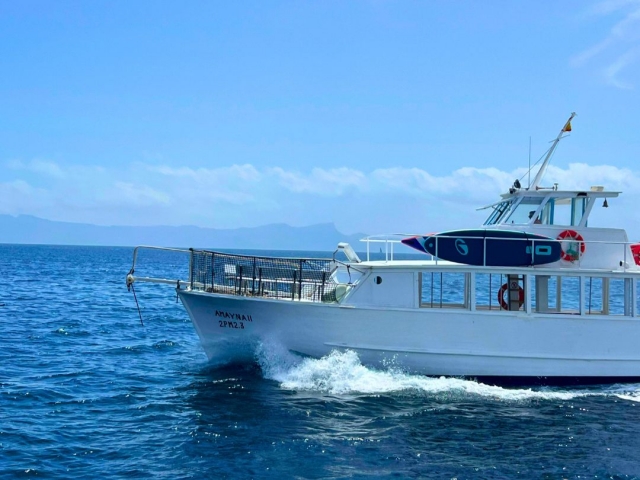 Paseos en barco en Mallorca
