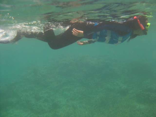 Bautismo de snorkel en aguas cántabras