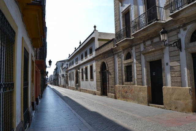 Calle Palacios 
