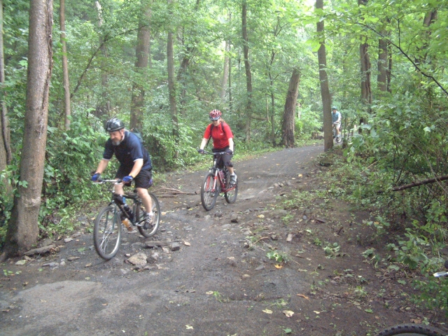  Through the forest with bikes 