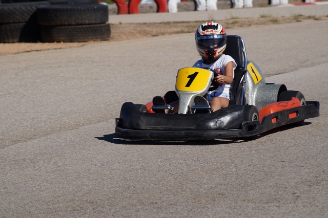  Fare kart 
