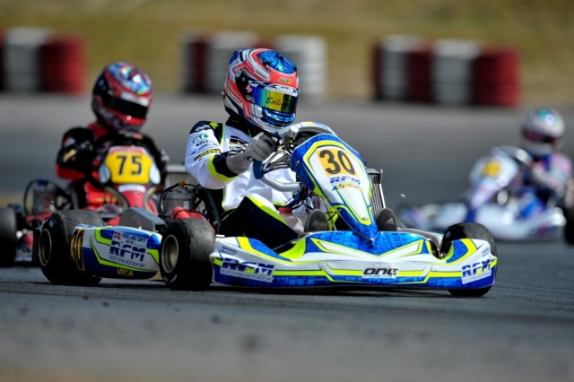 Kart professionale 