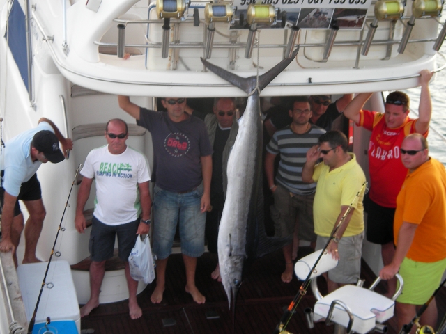 Huge fish 