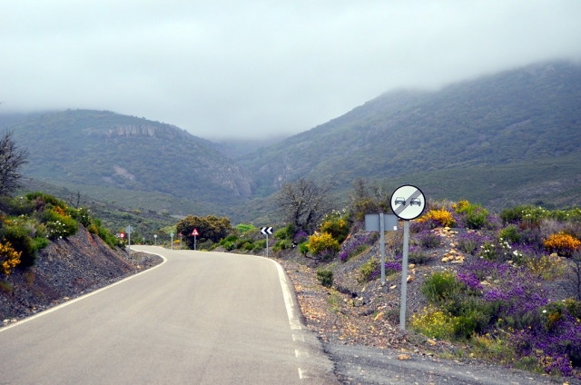 Camino hacia malmoneda