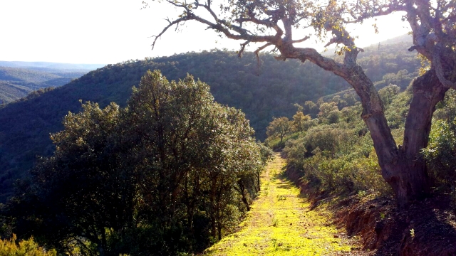 卡巴内罗斯的风景 