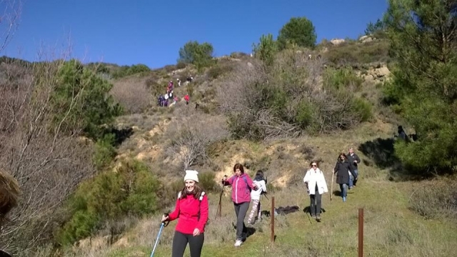  Escursione di gruppo 
