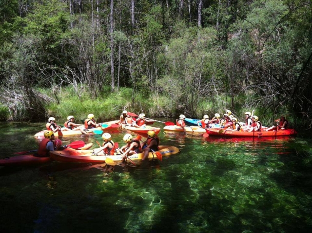  Kayak 