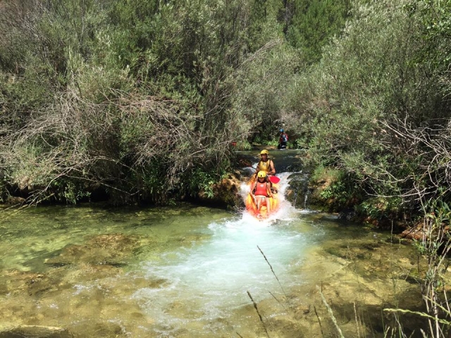  Kayak 