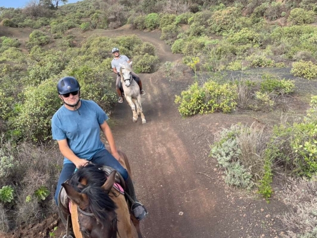  Equestrian walk through the eyes of Garza 
