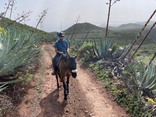  Horse route through Telde and Gando 