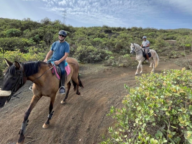  Enjoy an equestrian route