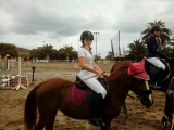 Reitunterricht auf Gran Canaria 4 pro Monat