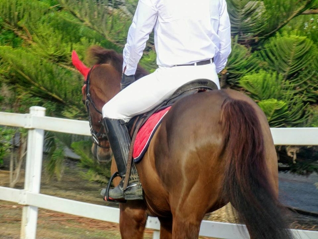 Clase de equitacion en Gran Canaria